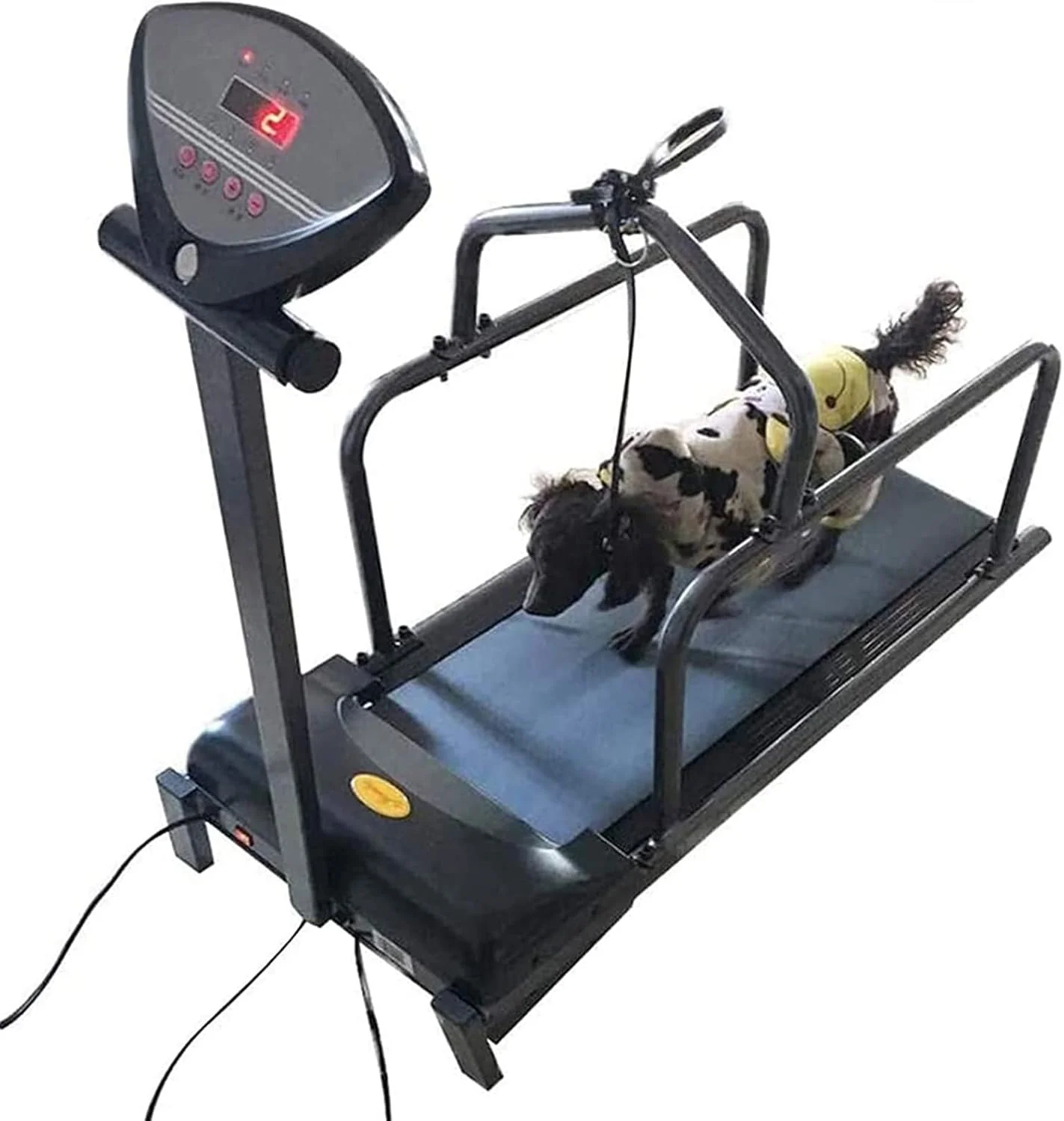 تردمیل سگ LBWF، دستگاه آموزش حیوانات خانگی با صفحه نمایش LED، تجهیزات آموزش هوشمند حیوانات خانگی، تحمل وزن 80 کیلوگرم، برای ورزش و کاهش وزن حیوانات خانگی