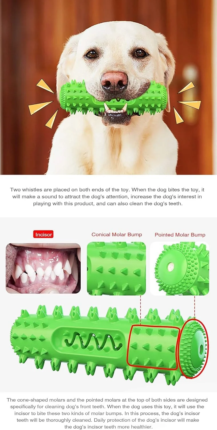 اسباب بازی جویدنی سگ LBOYLOVE®، اسباب بازی تعاملی ساخته شده از لاستیک طبیعی TPR، تمیز کننده دندان برای نژادهای کوچک، متوسط و بزرگ، مقاوم در برابر گاز گرفتن، اسباب بازی دندان درآوردن سگ برای مراقبت از دهان حیوانات خانگی، نشکن (سبز)