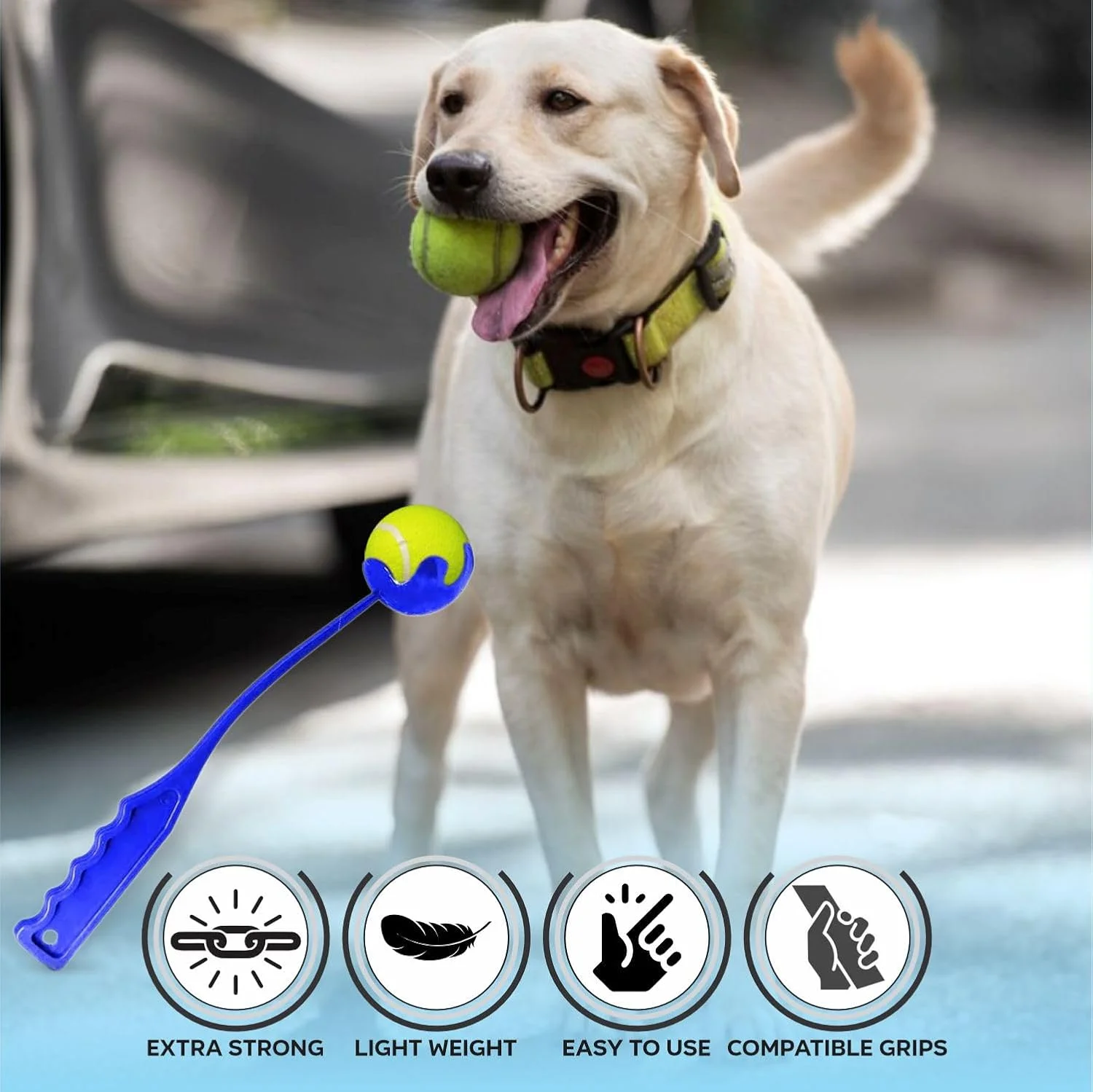 پرتابگر توپ سگ ALYAR، پرتاب کننده توپ سگ، اسباب بازی پرتابگر توپ سگ با توپ تنیس، تمرین توله سگ، بادوام، پرش بلند، بازی پرتاب، آموزش، رنگ آبی، 35 سانتی متر (1 عدد)