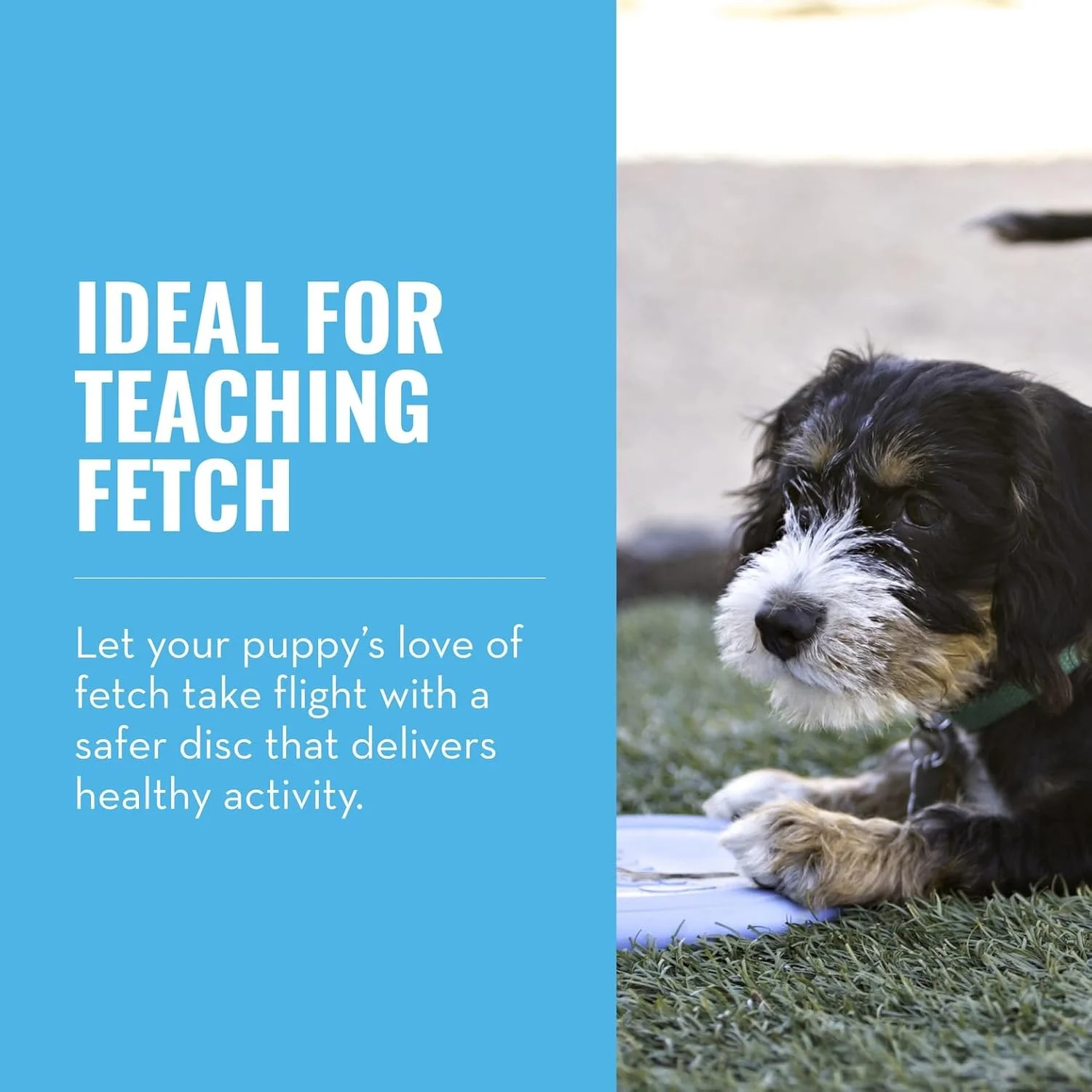 اسباب بازی سگ KONG - Puppy Flyer - لاستیک دندان درآوردن، اسباب بازی دیسک پرنده سگ - برای توله سگ های کوچک (رنگ های متنوع)