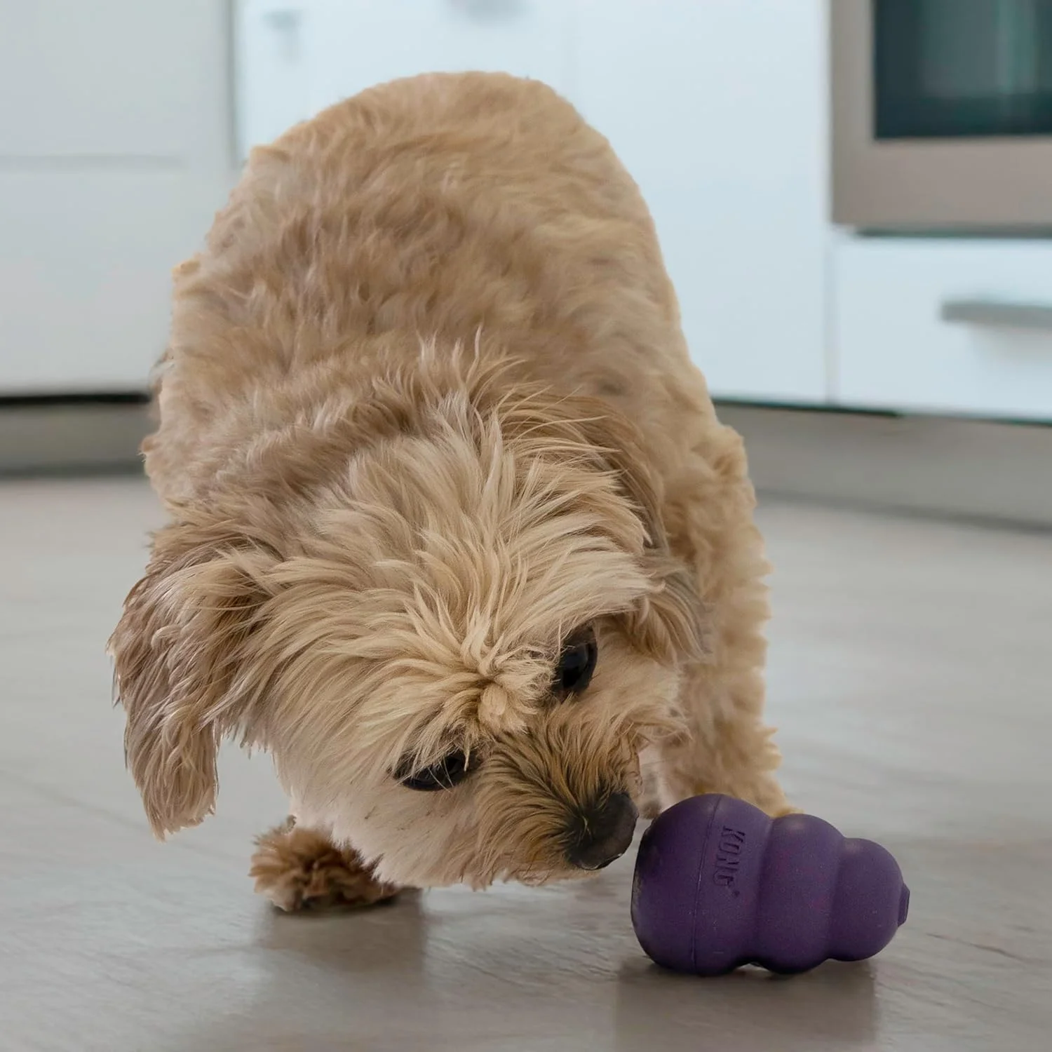 اسباب بازی سگ KONG Senior - اسباب بازی لاستیکی طبیعی و ملایم - اسباب بازی پر کردنی برای سگ های مسن - مناسب برای سگ های کوچک