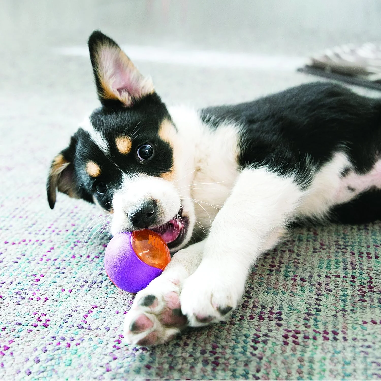 توپ بازی سگ کنگ مدل Squeeze Action