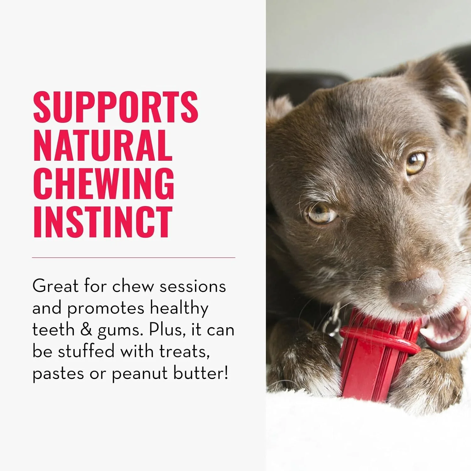 اسباب بازی سگ چوب دندانی Kong، کوچک، قرمز