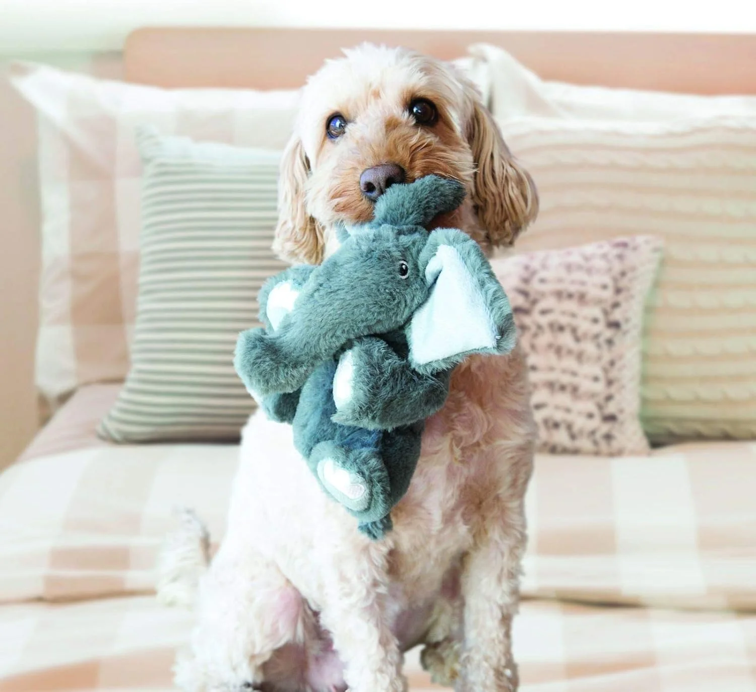 اسباب بازی سگ خرس کامفورت کیدوز KONG - اسباب بازی پولیشی سرگرم کننده با صدای جیر جیر جداشدنی - برای سگ های بزرگ