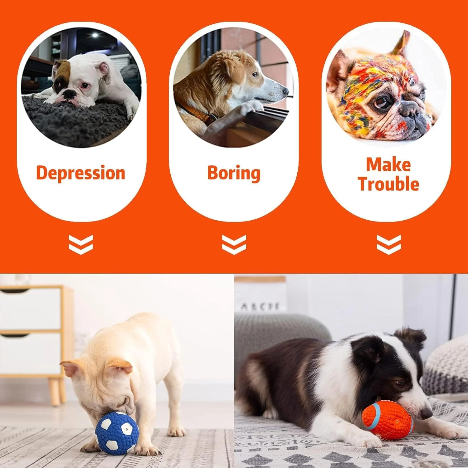 توپ های اسباب بازی سگ خزنه - اسباب بازی های جیر جیر سگ - اسباب بازی های جویدنی برای توله سگ ها و سگ های جوان - همه نژادها - بسته 4 عددی (توپ فوتبال زرد، والیبال، فوتبال آمریکایی، توپ فوتبال آبی) توپ های اسباب بازی سگ خزنه - اسباب بازی های جیر جیر سگ - اسباب بازی های جویدنی برای توله سگ ها و سگ های جوان - همه نژادها - بسته 4 عددی (توپ فوتبال زرد، والیبال، فوتبال آمریکایی، توپ فوتبال آبی)