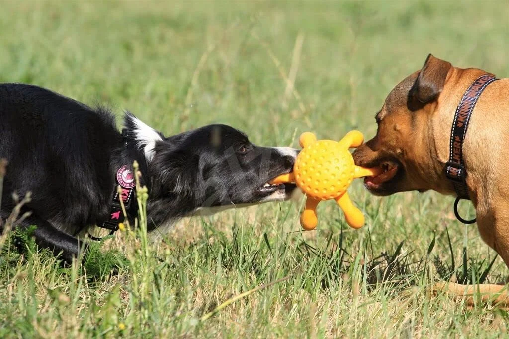 اسباب بازی سگ کیوی واکر طرح اختاپوس صورتی 20 سانتی متر