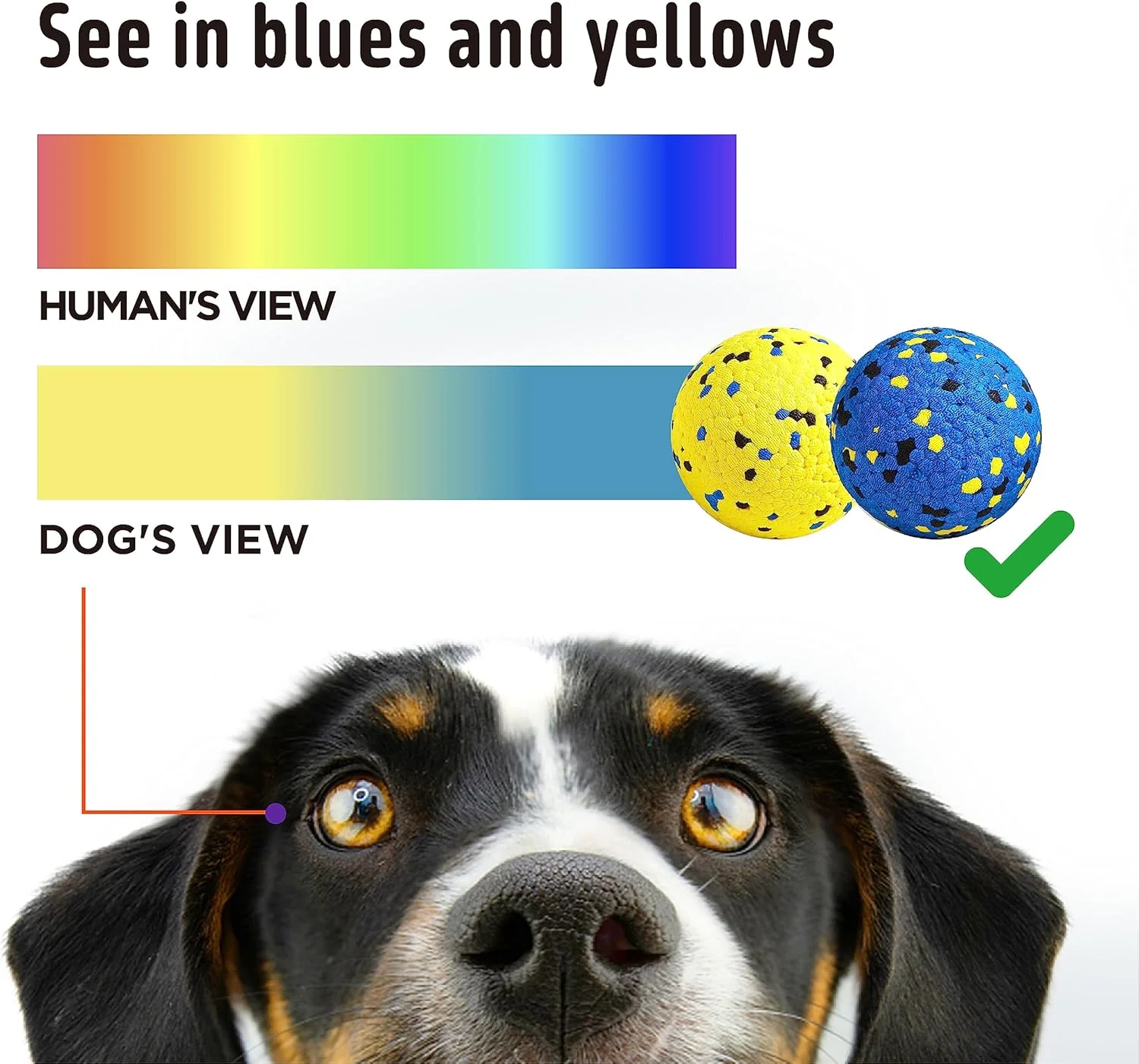 توپ های تنیس سگ Kimee، اسباب بازی های جویدنی سگ برای جویدن تهاجمی، اسباب بازی های دندانی بادوام، توپ های بازی آبی برای سگ های بزرگ، متوسط، کوچک و توله سگ ها (1 توپ)