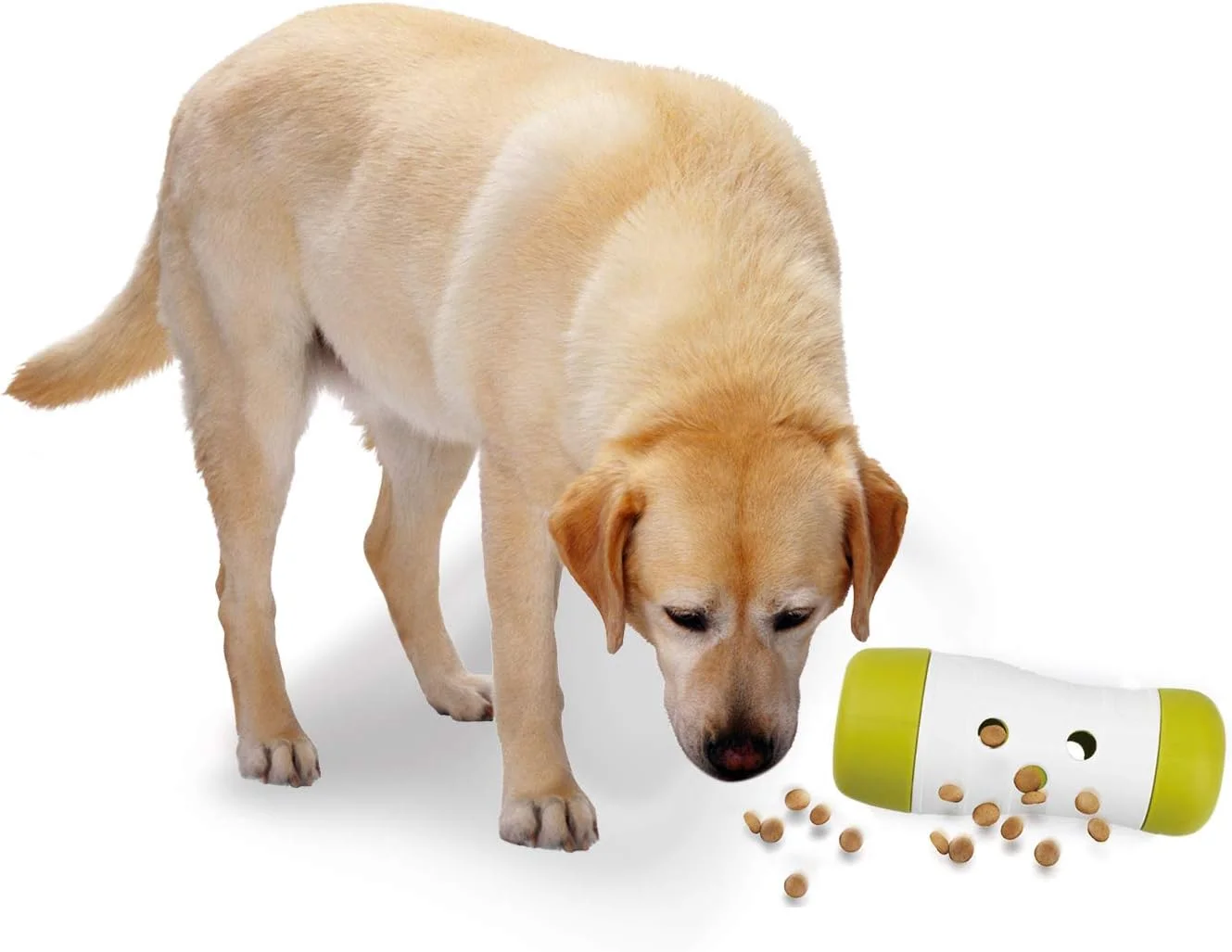 توزیع کننده تشویقی سگ مدل توپ غلطان Interactives از برند آل فور پاوز، 16 سانتی متر، 3209، لوازم حیوانات خانگی