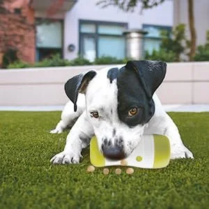 توزیع کننده تشویقی سگ مدل توپ غلطان Interactives از برند آل فور پاوز، 16 سانتی متر، 3209، لوازم حیوانات خانگی توزیع کننده تشویقی سگ مدل توپ غلطان Interactives از برند آل فور پاوز، 16 سانتی متر، 3209، لوازم حیوانات خانگی