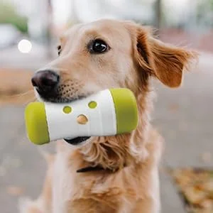 توزیع کننده تشویقی سگ مدل توپ غلطان Interactives از برند آل فور پاوز، 16 سانتی متر، 3209، لوازم حیوانات خانگی توزیع کننده تشویقی سگ مدل توپ غلطان Interactives از برند آل فور پاوز، 16 سانتی متر، 3209، لوازم حیوانات خانگی