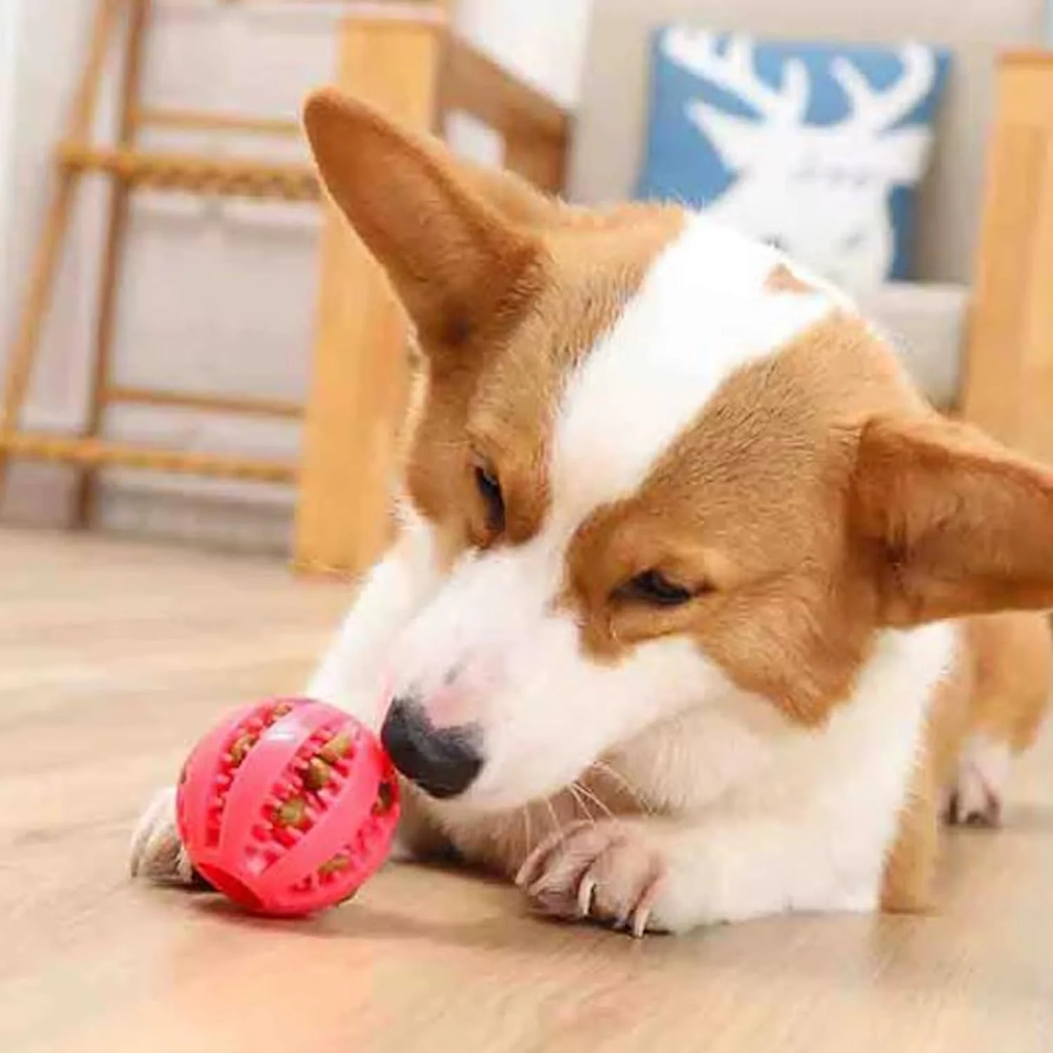 توپ اسباب بازی تعاملی سگ، آموزش هوش و سلامت دندان، چند رنگ