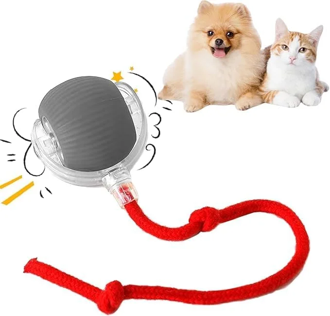 توپ غلتان تعاملی گربه و سگ (متوسط، کارتونی)