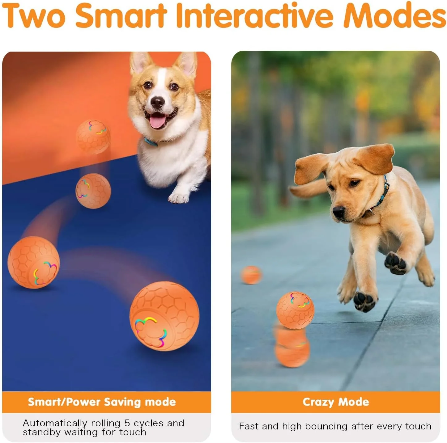 توپ بازی تعاملی سگ، اسباب بازی تعاملی مقاوم 5.5 سانتی متری برای توله سگ، سگ های کوچک و متوسط، توپ غلتکی فعال برای سگ ها، قابل شارژ با USB، اسباب بازی های جویدنی هوشمند تنیس برای حیوانات خانگی، حیوانات خانگی را سرگرم و سالم نگه می دارد