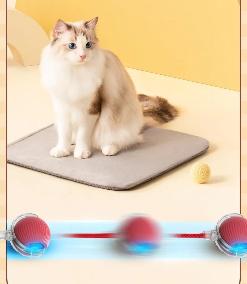 توپ غلتان تعاملی گربه و سگ (متوسط، کارتونی)