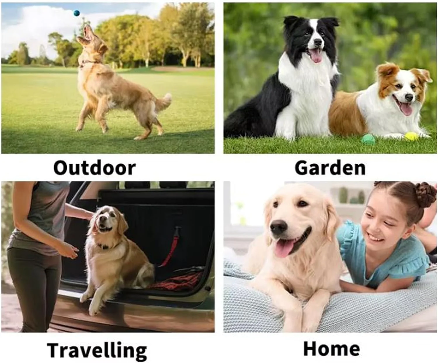 توپ اسباب بازی تعاملی سگ، آموزش هوش و سلامت دندان، چند رنگ