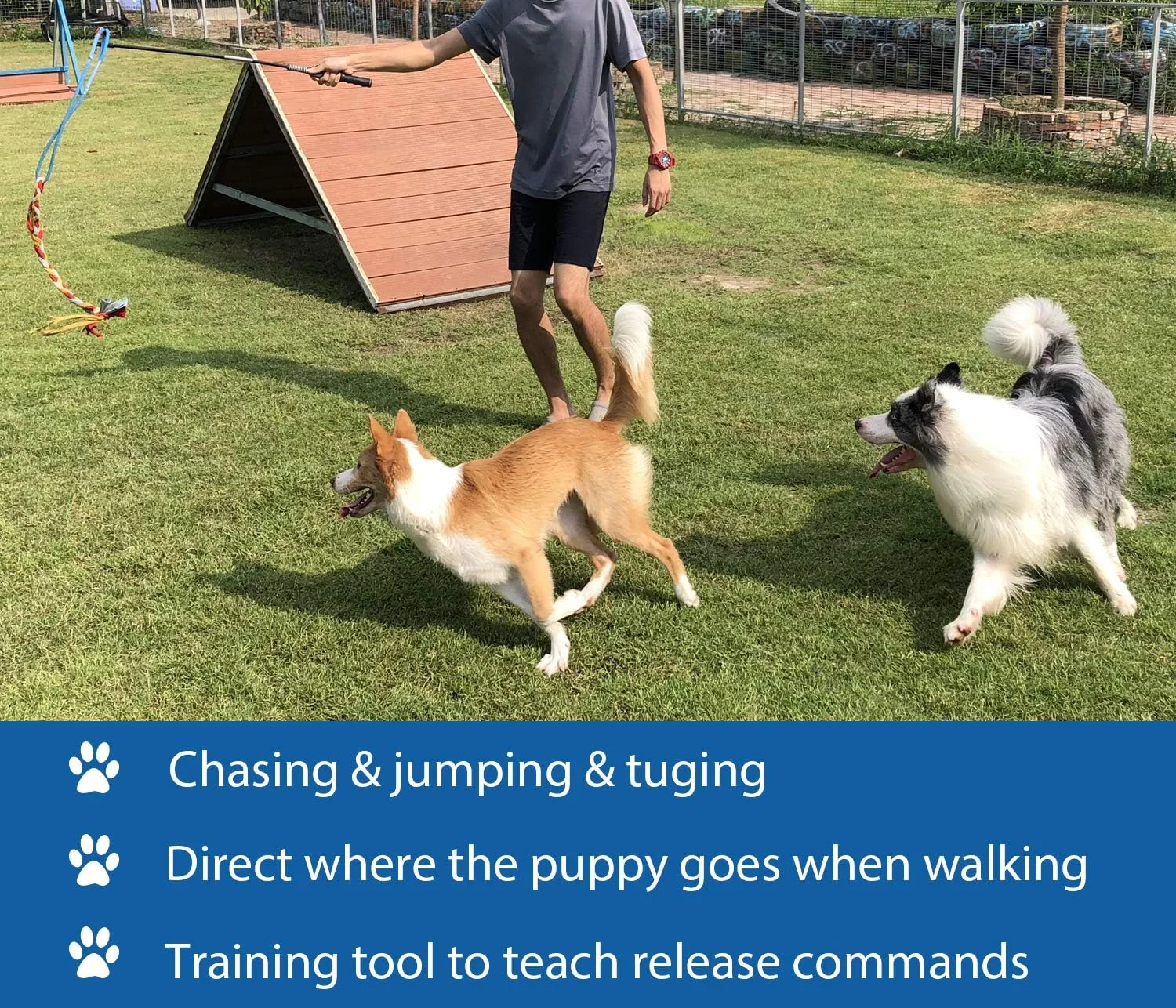 اسباب بازی تعاملی فلرت پول برای سگ ها، مناسب برای تعقیب و کشیدن، چوب بازی بادوام با طناب پشمی حیوانات خانگی، مناسب برای ورزش و آموزش در فضای باز برای سگ های کوچک، متوسط و بزرگ (آبی/قرمز، طول 35 اینچ)