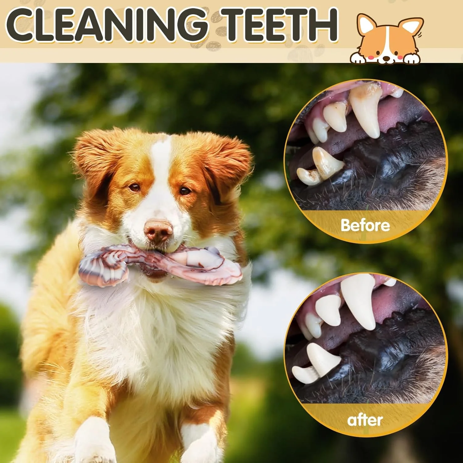 اسباب بازی جویدنی سگ، بسته 2 عددی اسباب بازی جویدنی نایلونی با طعم گوشت گاو، بادوام، اسباب بازی تمیز کننده دندان با ماندگاری طولانی برای جویدن تهاجمی، اسباب بازی های تعاملی سگ برای فک های قوی