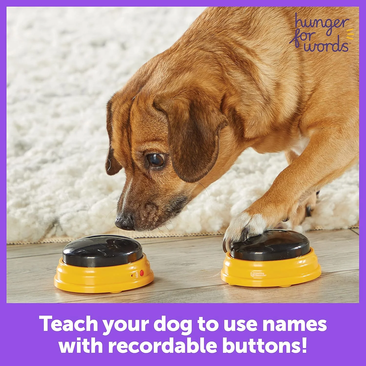 ست 3 عددی دکمه های ضبط صدا برای آموزش سگ Hunger for Words، دکمه های سگ برای ارتباط | بازی ها و وسایل سگ