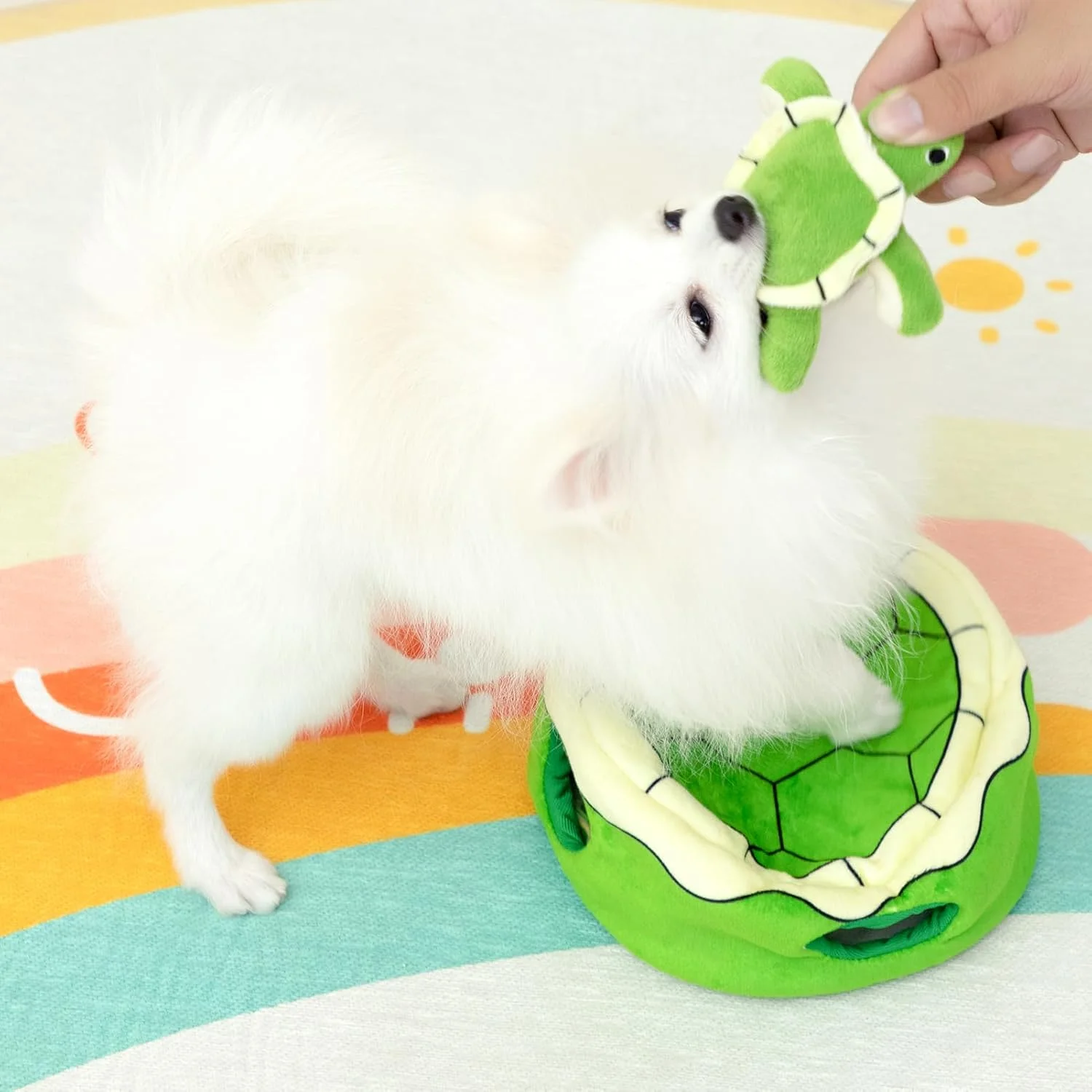 اسباب بازی سگ پولیشی قایم موشک Hollypet، اسباب بازی های سگ جیر جیر دار، اسباب بازی های سگ بزرگ، اسباب بازی سگ پولیشی، اسباب بازی سگ حیوانات عروسکی، اسباب بازی های جویدنی سگ برای سگ های کوچک، متوسط، بزرگ، اسباب بازی لاک پشتی زیبا، اسباب بازی هدیه تولد سرپوشیده