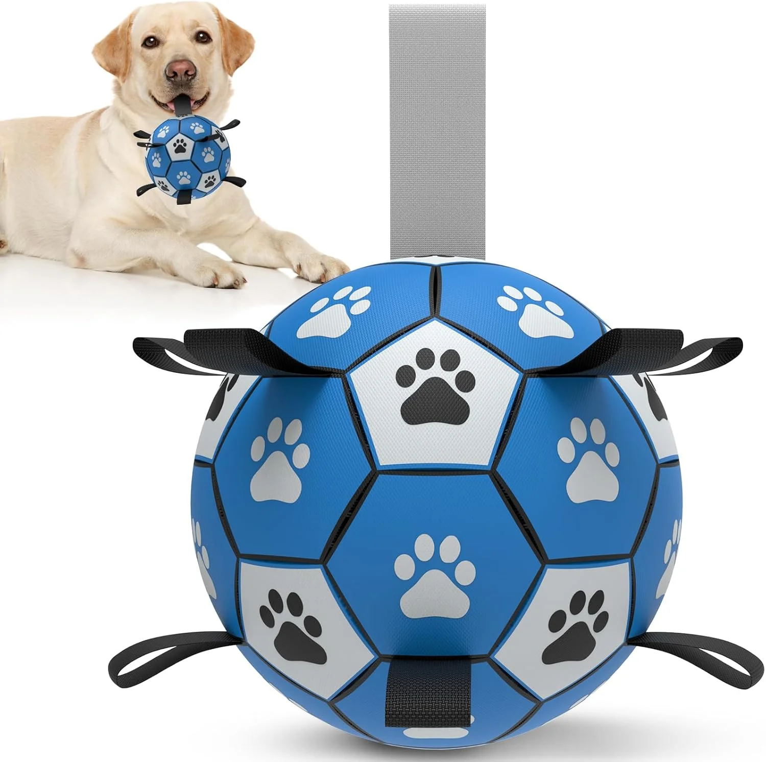 توپ سگ HETOO، توپ اسباب بازی سگ با دسته برای سگ ها، کشیدن تعاملی جنگ، توپ های سگ آبی، اسباب بازی، هدیه تولد برای سگ های متوسط/بزرگ (8 اینچ، آبی، خاکستری) توپ سگ HETOO، توپ اسباب بازی سگ با دسته برای سگ ها، کشیدن تعاملی جنگ، توپ های سگ آبی، اسباب بازی، هدیه تولد برای سگ های متوسط/بزرگ (8 اینچ، آبی، خاکستری)