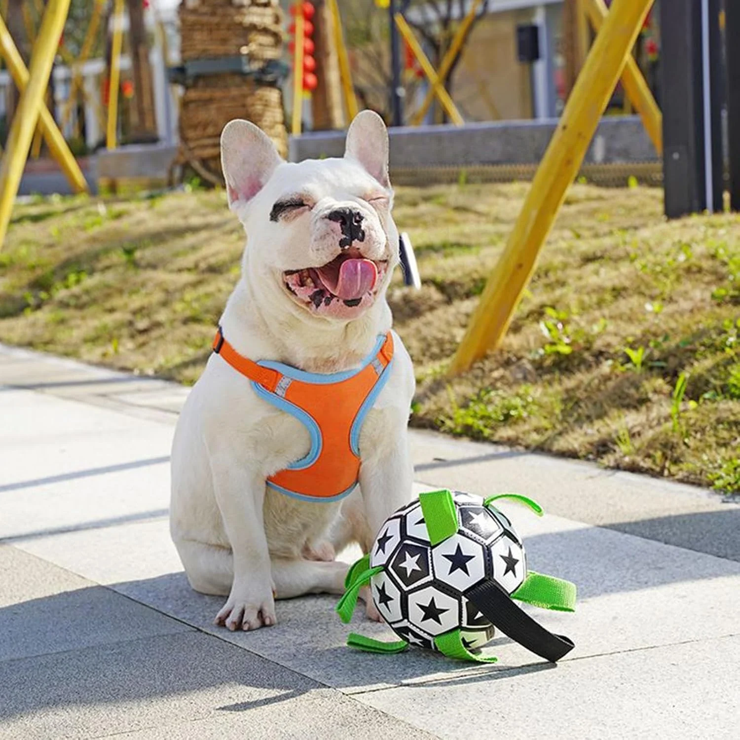 توپ فوتبال سگ | توپ گله داری برای سگ ها، پازل تعاملی جویدنی فوتبال برای بازی آب، حیاط بیرونی، پارک، استخر، توله سگ