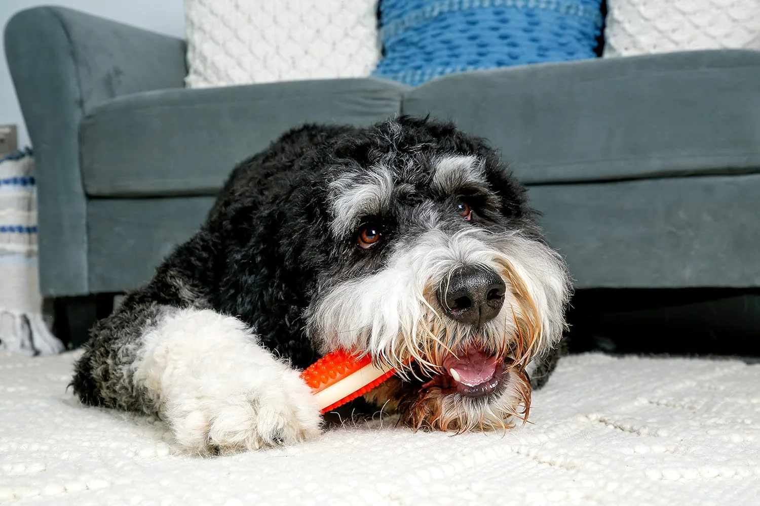 استخوان جویدنی سگ با عطر بیکن Hartz Chew 'n Clean - سایز بزرگ