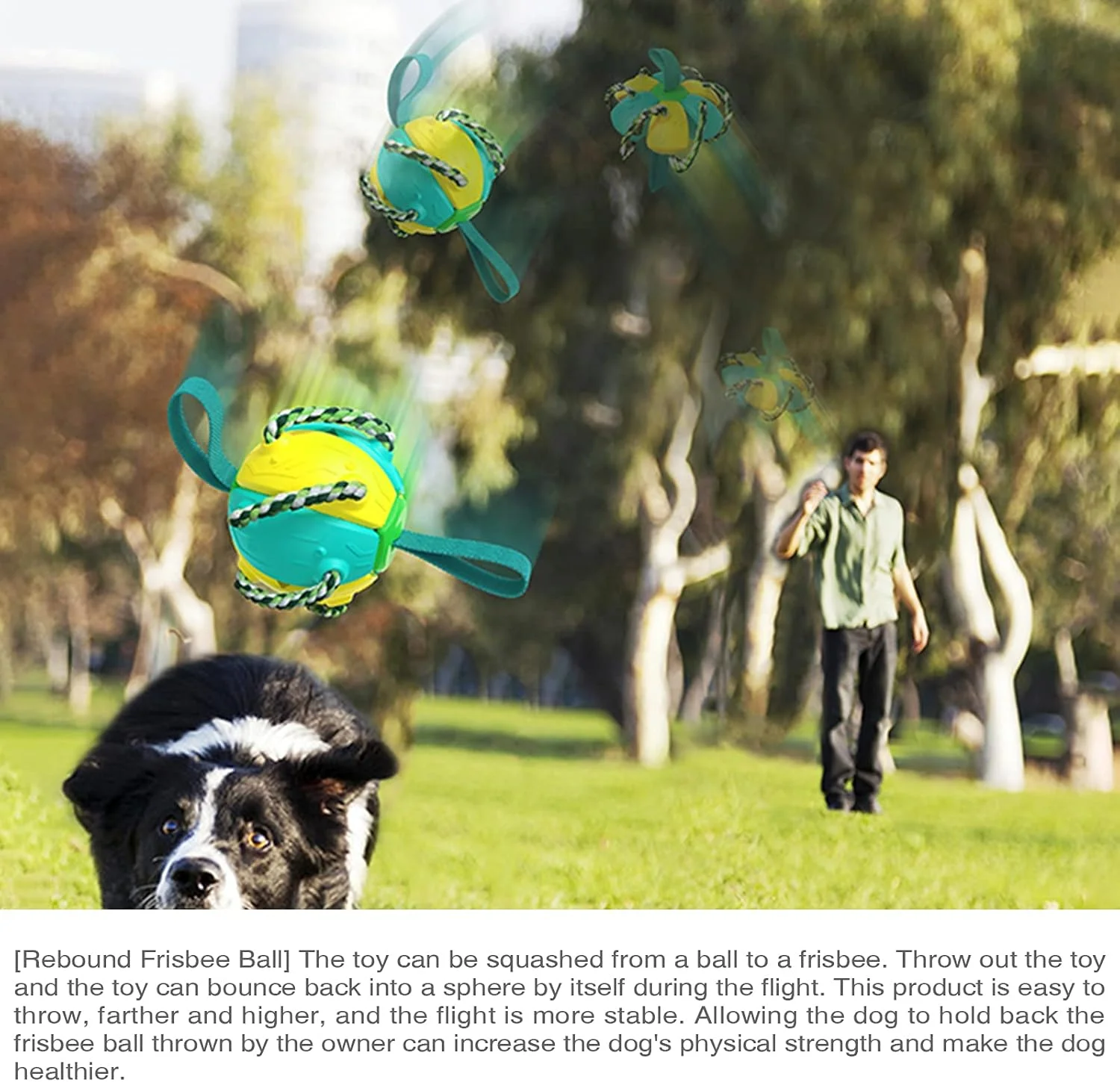 توپ فوتبال اسباب بازی سگ Hamsxo با طناب کشی، فریزبی قابل حمل در فضای باز برای بازی در آب و چمن، هدیه تولد توله سگ بچه گربه، ورزش، توپ تعاملی سگ، لوازم حیوانات خانگی (زرد) توپ فوتبال اسباب بازی سگ Hamsxo با طناب کشی، فریزبی قابل حمل در فضای باز برای بازی در آب و چمن، هدیه تولد توله سگ بچه گربه، ورزش، توپ تعاملی سگ، لوازم حیوانات خانگی (زرد)