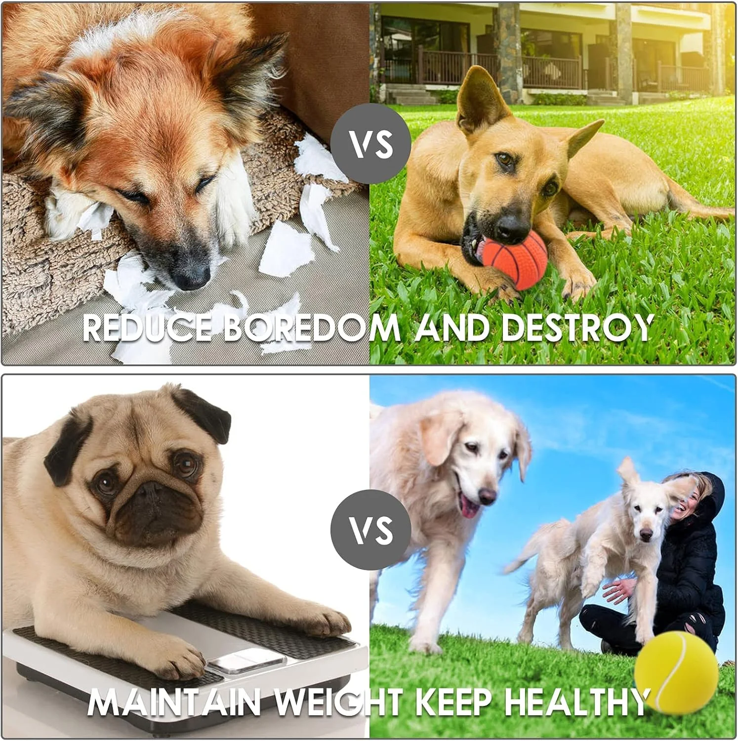 توپ های اسباب بازی سگ جیر جیر کننده GraGra، بسته 4 عددی توپ بازی سگ لاتکس طبیعی، اسباب بازی های نرم و بادوام سگ جیر جیر کننده برای سگ های کوچک و متوسط، اسباب بازی جویدنی تعاملی توله سگ برای سگ ها در تمام فصول