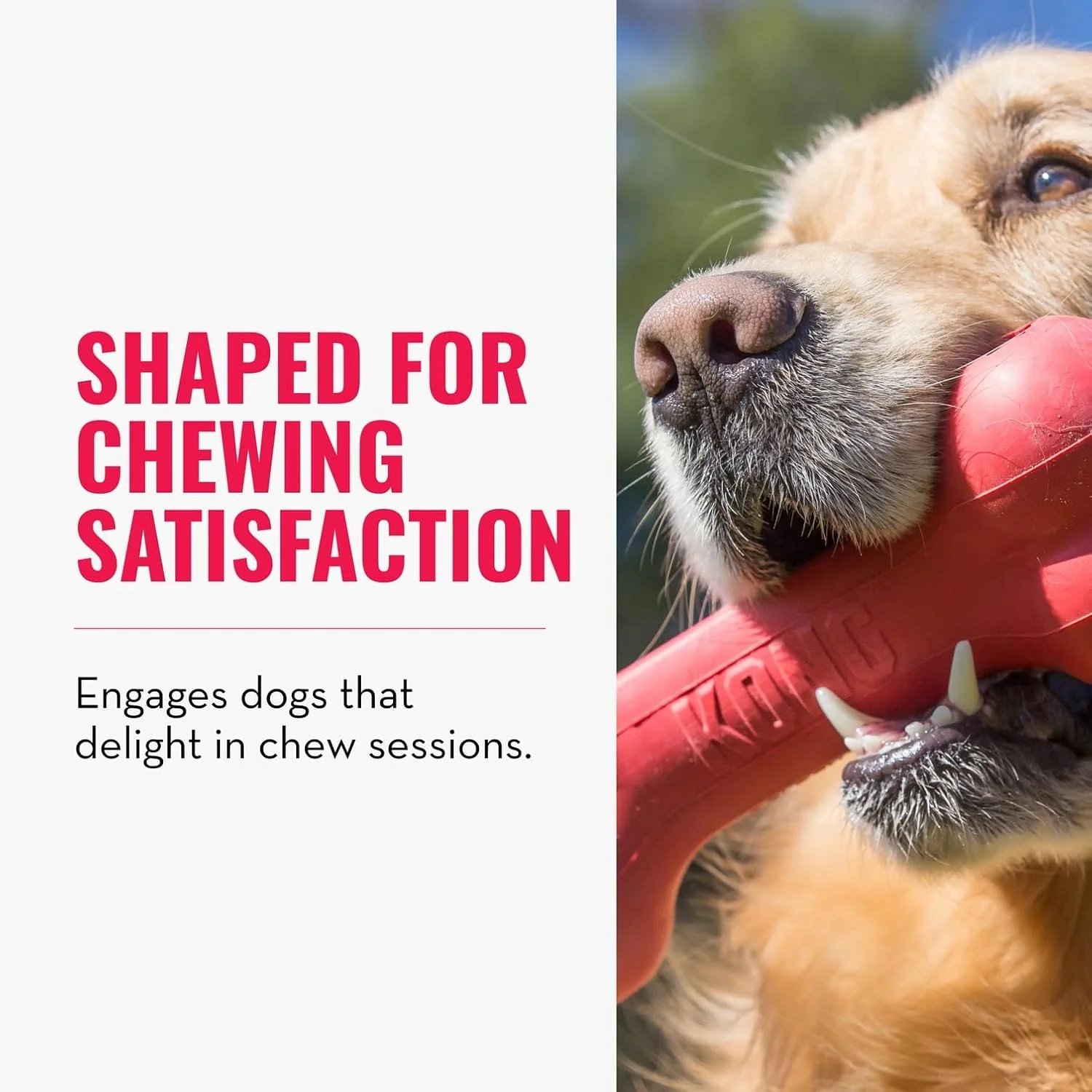 KONG | استخوان گودی مخصوص توله سگ | لاستیک دندانی، اسباب بازی سگ با قابلیت پخش تشویقی | رنگ های متنوع | برای توله سگ های متوسط