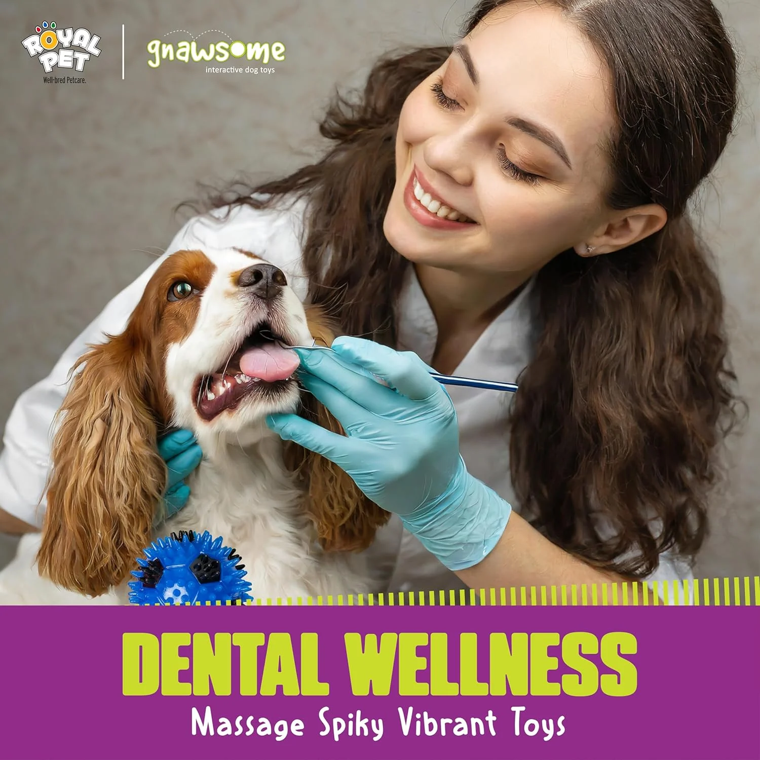 اسباب بازی سوت دار و چراغ دار توپ فوتبال گناسوم برای سگ ها، سایز کوچک، 2.5 اینچ - ارتقا سلامت دندان و لثه حیوان خانگی شما، رنگ ها متنوع