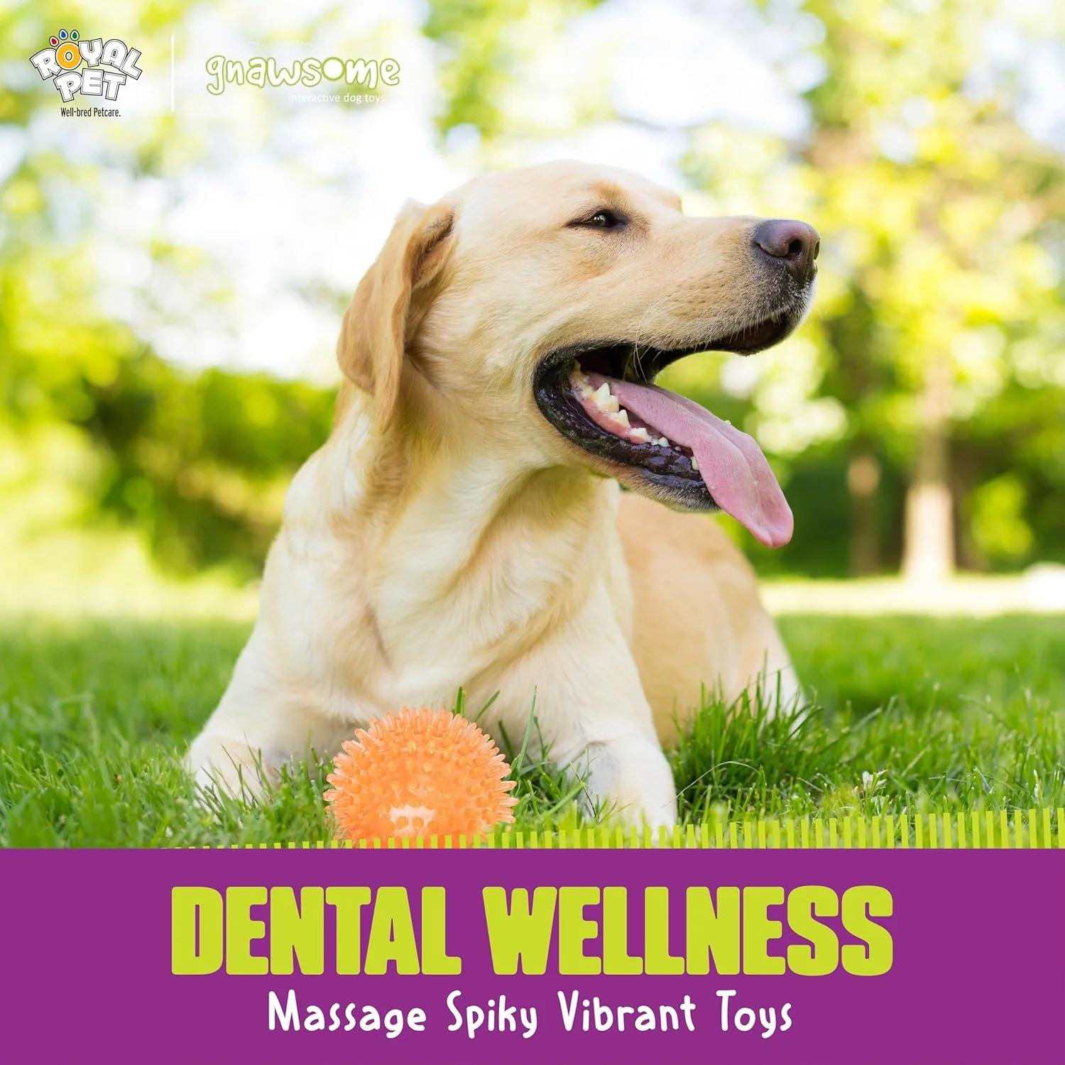 اسباب بازی توپ سوت دار متوسط سگ ناوسام، متوسط 3.5 اینچ، رنگ ها متفاوت خواهد بود، مناسب برای تمامی نژادها