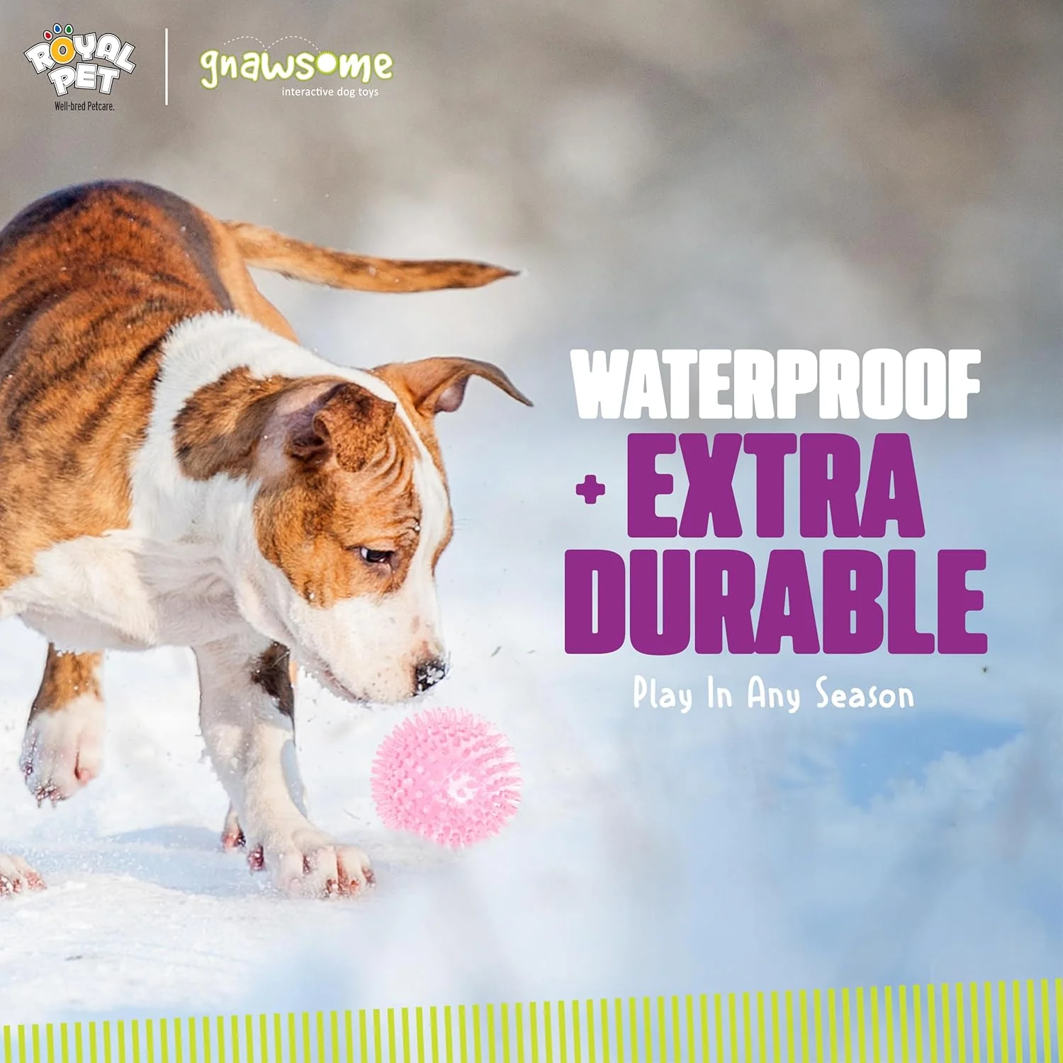 اسباب بازی توپ سوت دار متوسط سگ ناوسام، متوسط 3.5 اینچ، رنگ ها متفاوت خواهد بود، مناسب برای تمامی نژادها