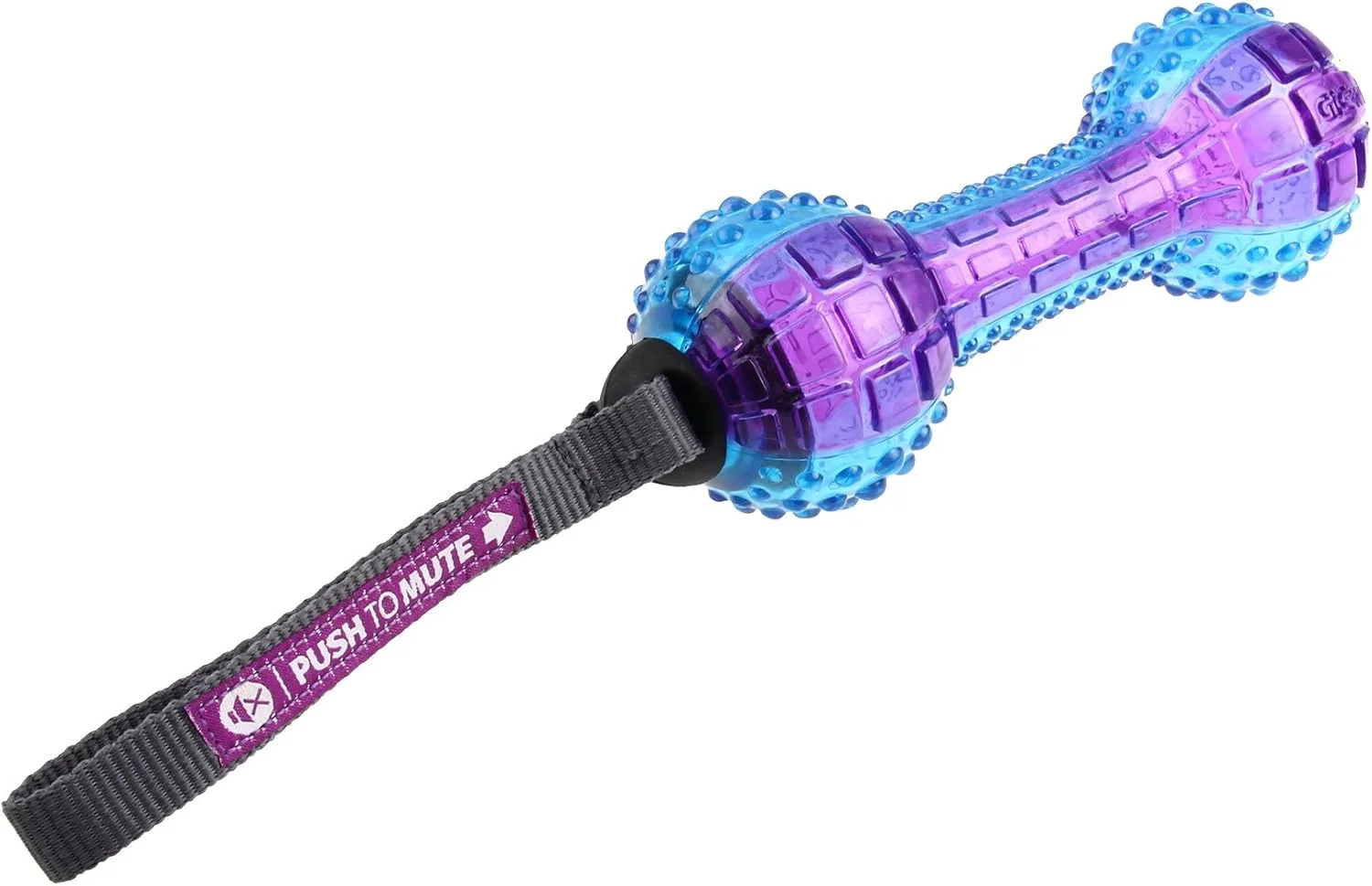 اسباب بازی سگ دمبل شفاف 'فشار برای بی صدا کردن' گیگوی - بنفش/آبی