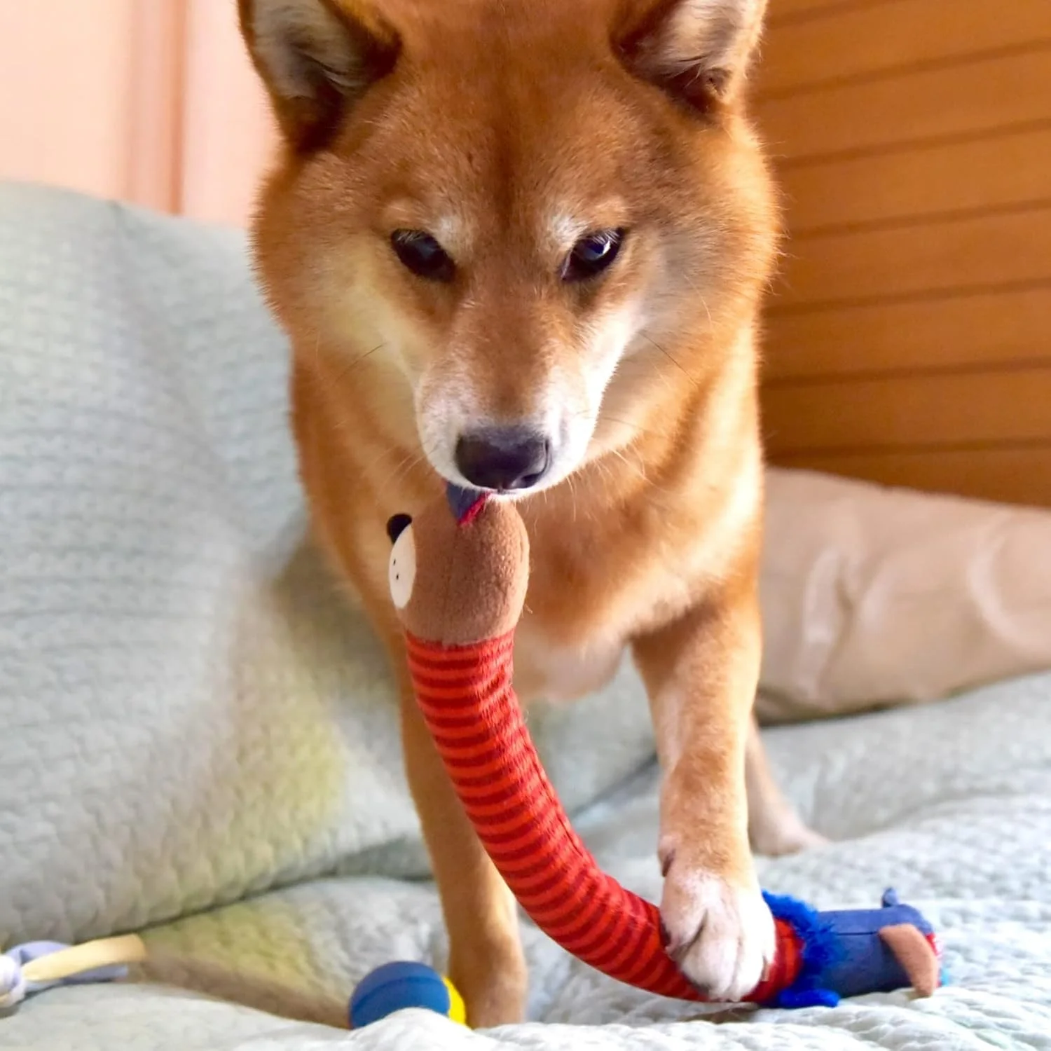 اسباب بازی سگ گردنی انعطاف پذیر و صدا دار گیگوی مدل 6529