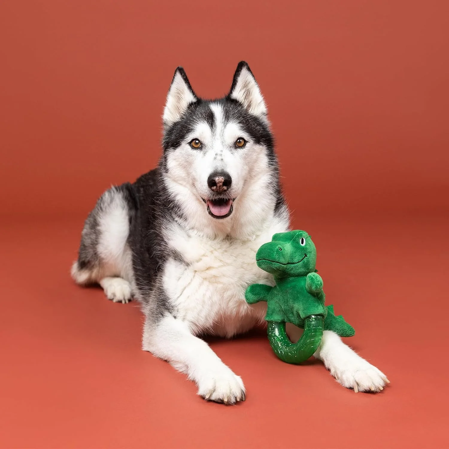 اسباب بازی سگی لاستیکی فرینج استودیو، رها کردن دایناسور، مجموعه پت شاپ (519080)