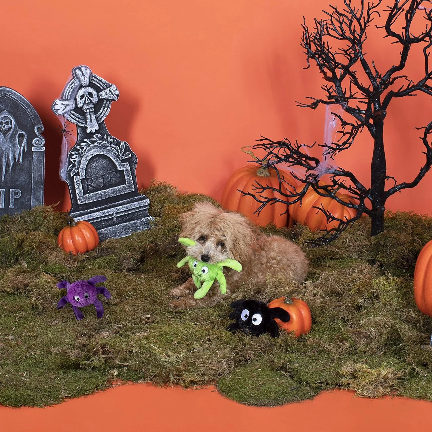 مجموعه اسباب بازی مینی سگ Fringe Studio، عنکبوت های خزنده ترسناک، مجموعه 3 عددی (289479)، چند رنگ