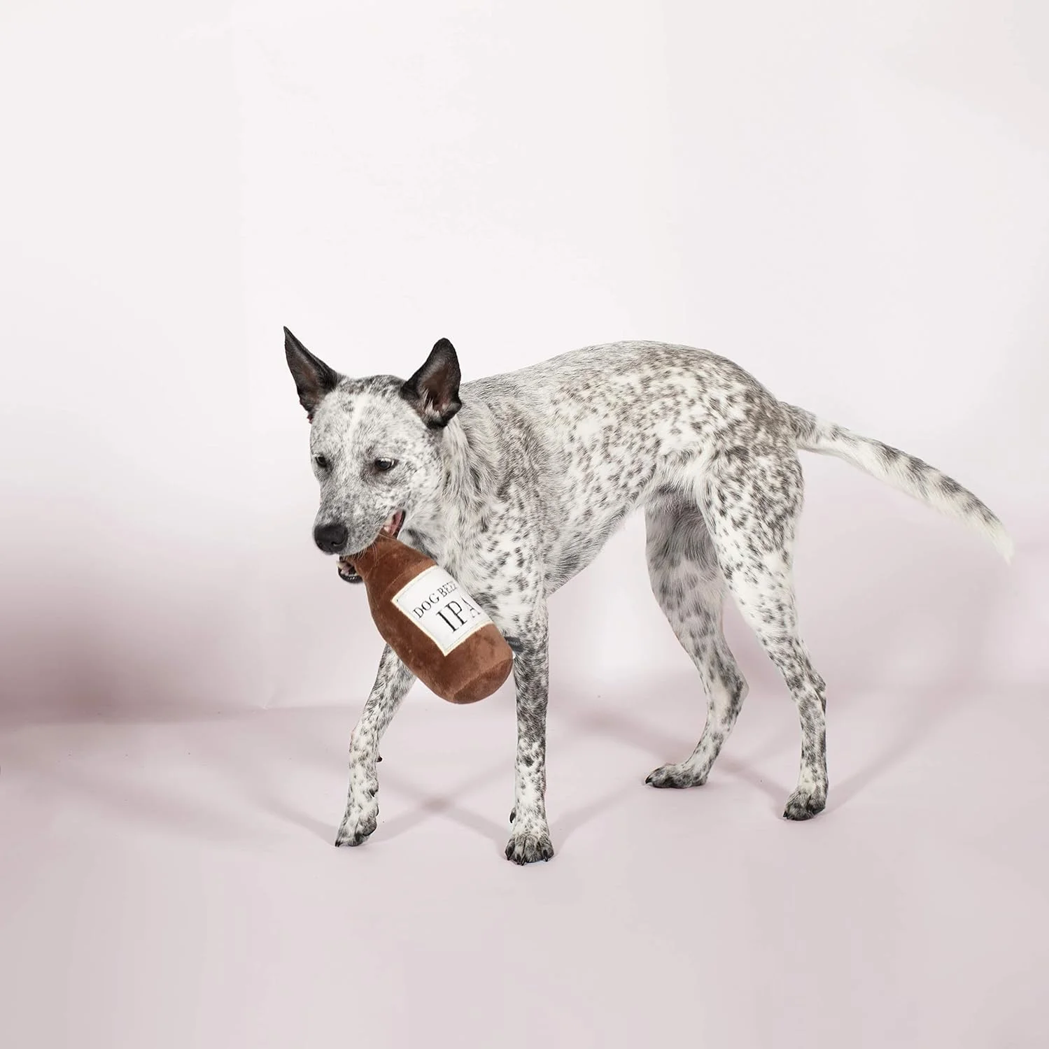 اسباب بازی سگ طرح آبجو IPA استودیو فرینج پت شاپ، قهوه ای، 5X4