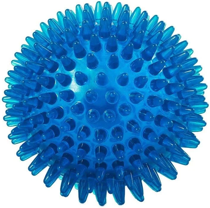 اسباب بازی سگ ForuMall توپ خاردار جیرجیر کننده با پرش بلند، اسباب بازی آموزشی حیوانات خانگی 9 سانتی متر اسباب بازی سگ ForuMall توپ خاردار جیرجیر کننده با پرش بلند، اسباب بازی آموزشی حیوانات خانگی 9 سانتی متر