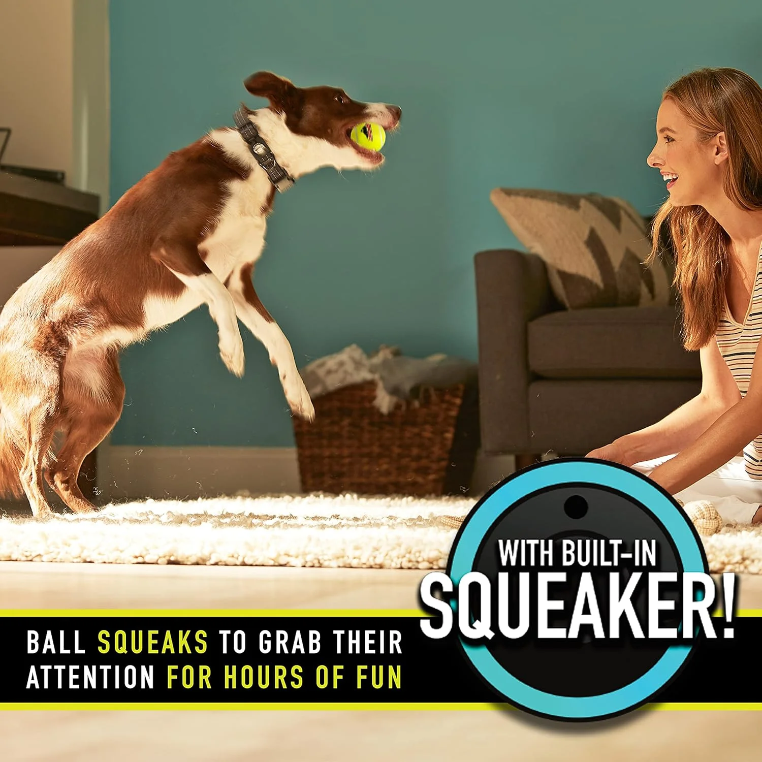 توپ های تنیس صدادار Franklin Pet Supply RSF - اسباب بازی سگ با صدای جیر جیر هنگام فشار دادن - بسته 12 عددی - برای سگ های کوچک، متوسط و بزرگ - صدای جیر جیر