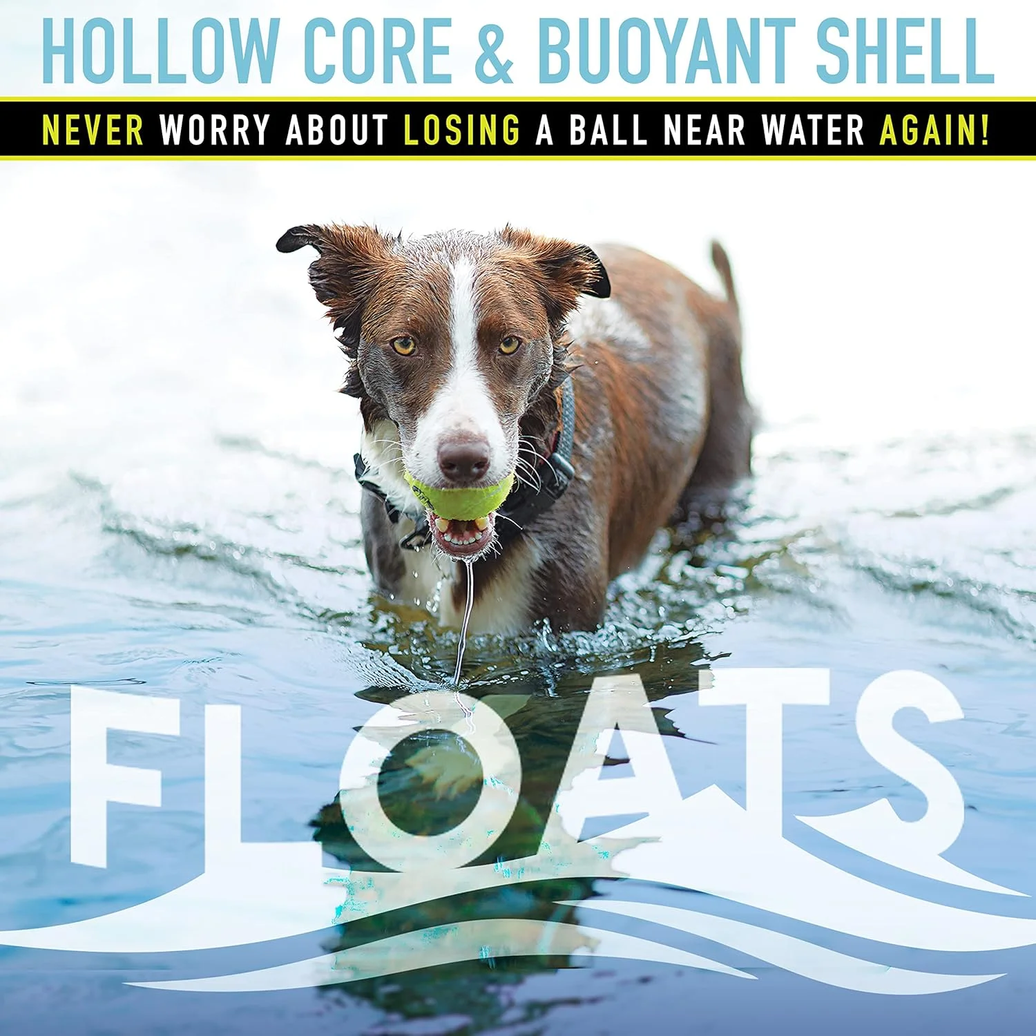 توپ های تنیس صدادار Franklin Pet Supply RSF - اسباب بازی سگ با صدای جیر جیر هنگام فشار دادن - بسته 12 عددی - برای سگ های کوچک، متوسط و بزرگ - صدای جیر جیر