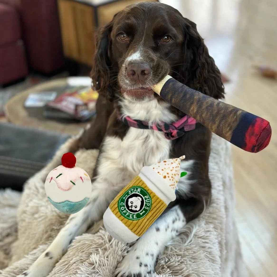 اسباب بازی سگ قهوه FEJYTOR مدل Pup'kin Spice Latte - اسباب بازی های تعطیلات خنده دار پاییزی برای سگ های متوسط، کوچک و بزرگ - هدایای زیبا برای تولد سگ - عروسک های باحال برای همه نژادها