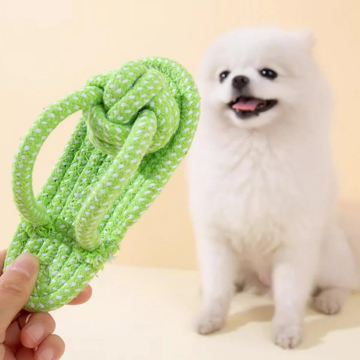 مجموعه 10 عددی اسباب بازی سگ ECVV برای جویدن تهاجمی، اسباب بازی های سگ جیرجیر کننده بامزه، اسباب بازی های طنابی بادوام برای سگ ها، توپ جایزه، اسباب بازی های جویدنی غیر سمی برای دندان درآوردن توله سگ