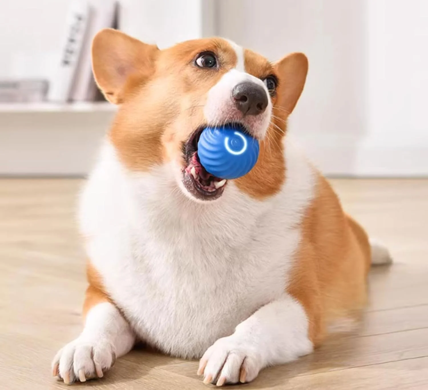 اسباب بازی توپ سگ تعاملی EOPTIFY، توپ سگ برقی، توپ حیوانات خانگی قابل شارژ، توپ چرخشی خودکار برای توله سگ، اسباب بازی چرخشی متحرک سگ، اسباب بازی گربه تعاملی، اسباب بازی توپ لرزان برای سگ