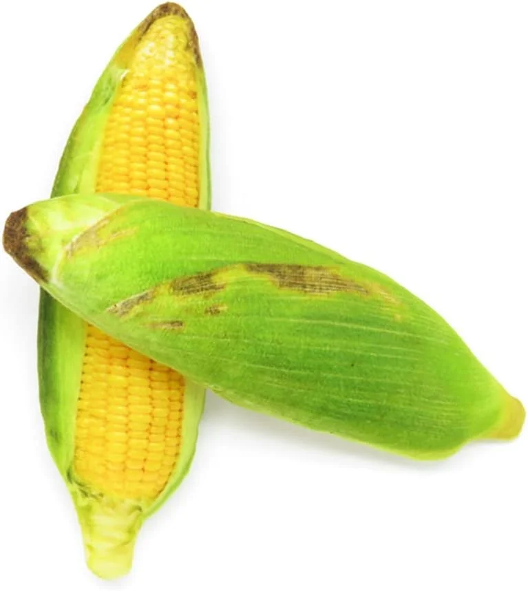 GLOGLOW Pet Dog Plush Canvas Toy Chew Squeak Toys with Catnip BB Sounder, with Catnip BB Sounder, Thicken Dog Type with for More Fun Pet Plush Canvas Chew Squeak) (Dog toys (canvas fabric))