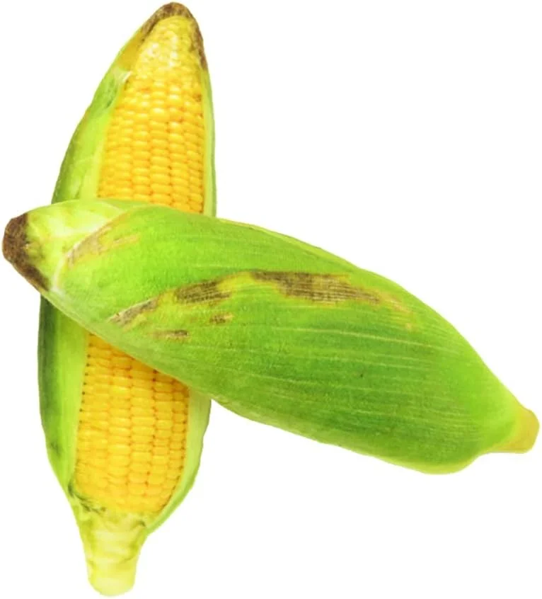 GLOGLOW Pet Dog Plush Canvas Toy Chew Squeak Toys with Catnip BB Sounder, with Catnip BB Sounder, Thicken Dog Type with for More Fun Pet Plush Canvas Chew Squeak) (Dog toys (canvas fabric))