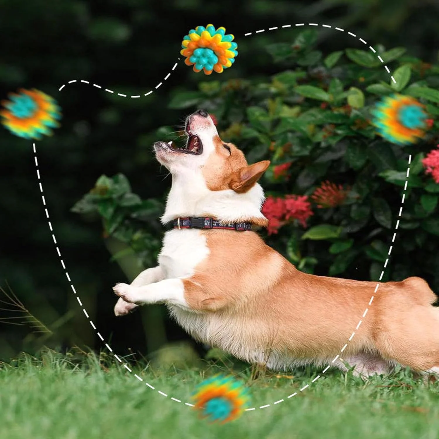 توپ های اسباب بازی سگ | توپ های جویدنی تعاملی سگ | لوازم جانبی توله سگ برای بازی ورزشی متحرک حیوانات خانگی، غنی سازی و آموزش در داخل و خارج از خانه