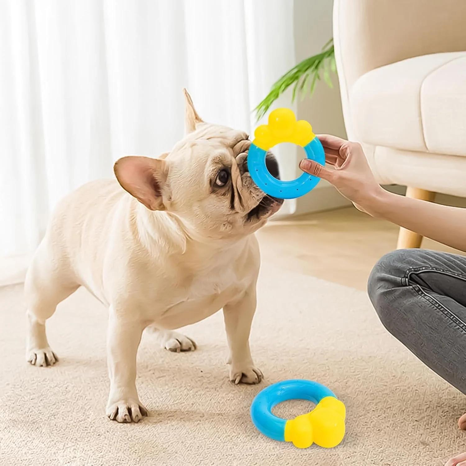 اسباب بازی استخر سگ - اسباب بازی های خنک کننده توله سگ در فضای باز | لوازم جویدنی خنک کننده حیوانات خانگی به شکل دونات برای شنا در هوای گرم، بازی در فضای باز، حیاط خلوت، ساحل، رفع خستگی و آموزش اسباب بازی استخر سگ - اسباب بازی های خنک کننده توله سگ در فضای باز | لوازم جویدنی خنک کننده حیوانات خانگی به شکل دونات برای شنا در هوای گرم، بازی در فضای باز، حیاط خلوت، ساحل، رفع خستگی و آموزش