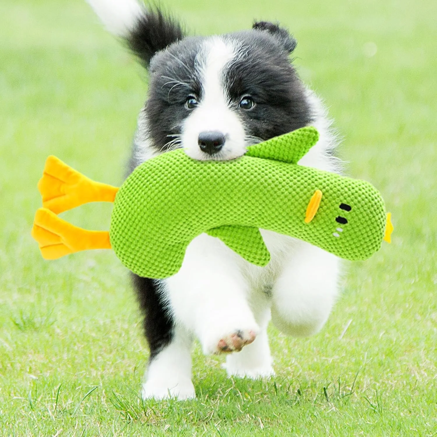 اسباب بازی اردک برای سگ ها، اسباب بازی های پولیشی جیر جیر کننده برای توله سگ ها - عروسک جویدنی دندانی تعاملی پر شده برای بازی حیوانات خانگی، آموزش در فضای داخلی و خارجی، زمان خواب و فعالیت های خانگی