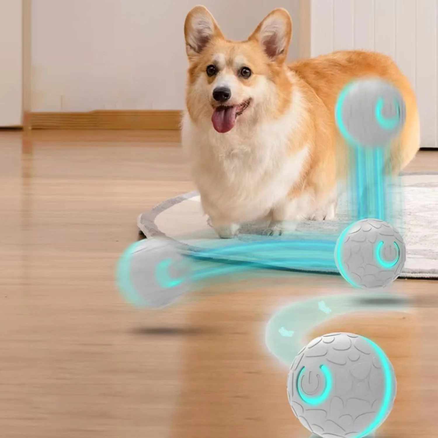 اسباب بازی توپ غلتان سگ | نور LED غلتان اتوماتیک | توپ اسباب بازی هوشمند بچه گربه، برای تسکین دندان درآوردن، مناسب برای والدین حیوانات خانگی، استفاده در داخل و خارج از خانه، آپارتمان، اتاق خواب، اتاق نشیمن، پارک، حیاط، باغ