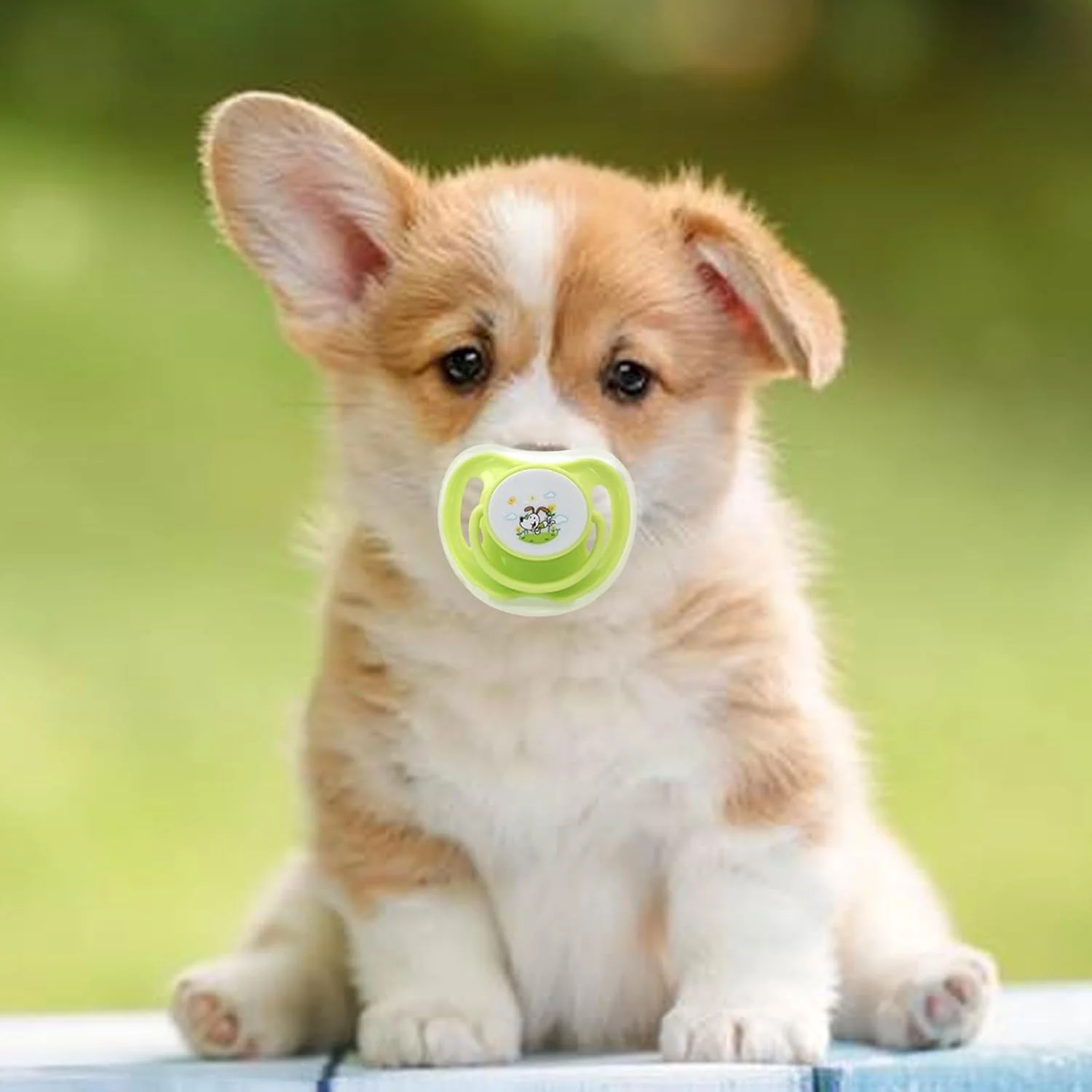 پستانک بچه گربه - پستانک سگ شیرخوار حیوانات خانگی - اسباب بازی سیلیکونی حیوانات خانگی طرح پروانه ای با پوشش برای آرام کردن، تسکین و دندان درآوردن